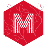 logo-mycorhize-icone.png